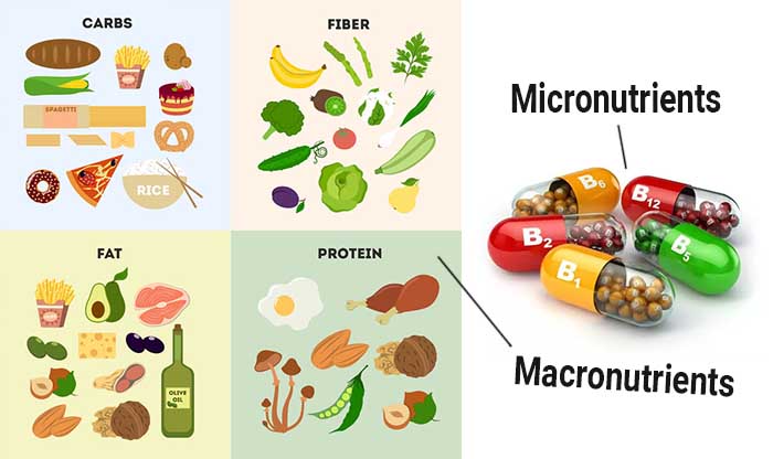 Image result for micronutrients