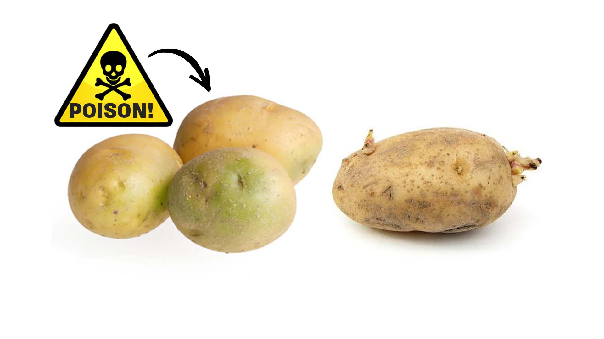 green potatoes poison