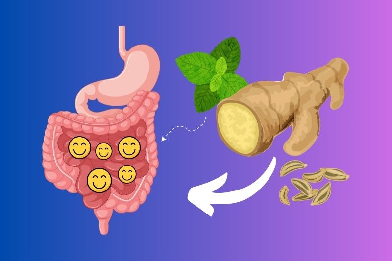 Plants for the Digestive System